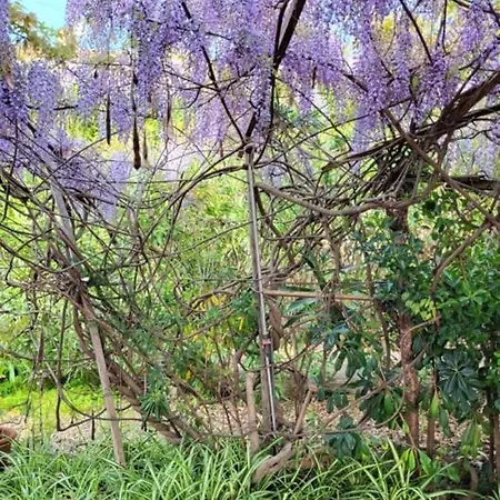 Maison Les Couchants * Porticcio (Corsica)