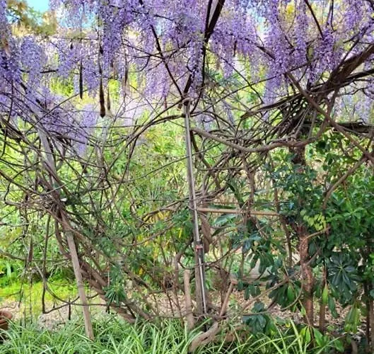 Maison Les Couchants * 波尔蒂乔